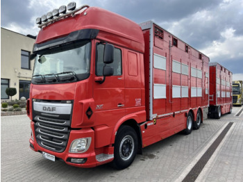 Camion transport animale DAF XF 105 510