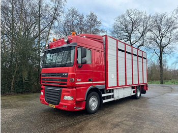 Camion transport animale DAF XF 105 410
