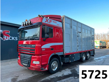 Camion transport animale DAF XF 105 460