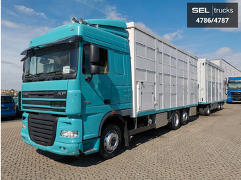 Camion transport animale DAF XF 105 460