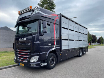 Camion transport animale DAF XF 460