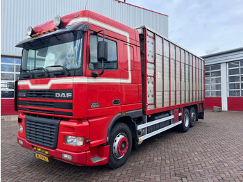 Camion transport animale DAF XF 95 380