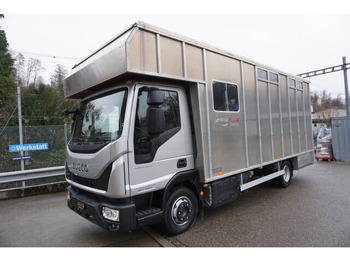 Camion transport animale IVECO EuroCargo