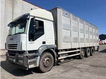 Camion transport animale IVECO Stralis