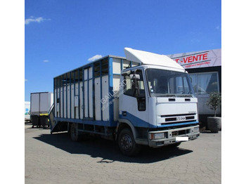 Camion transport animale IVECO EuroCargo 80E
