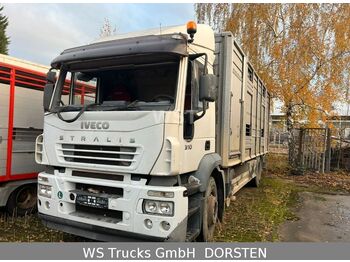 Camion transport animale IVECO Stralis