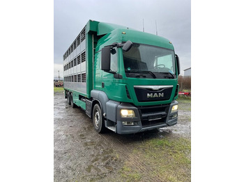 Camion transport animale MAN TGS 26.440