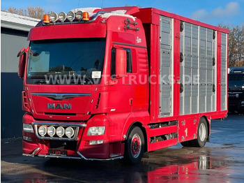 Camion transport animale MAN TGX 18.580