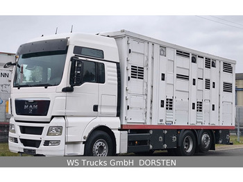 Camion transport animale MAN TGX 26.440