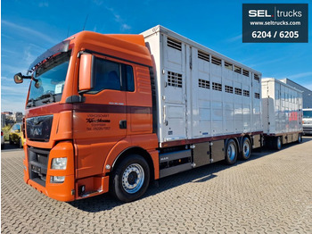 Camion transport animale MAN TGX 26.480