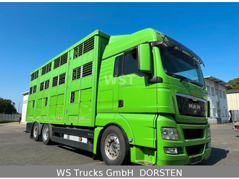 Camion transport animale MAN TGX 26.480