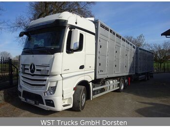 Camion transport animale MERCEDES-BENZ Actros 2545