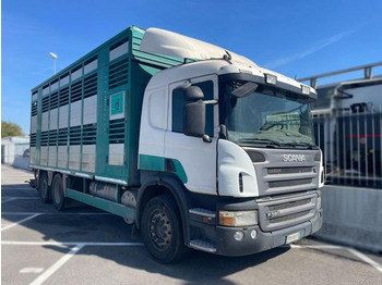 Camion transport animale SCANIA P 380