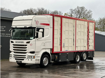 Camion transport animale SCANIA R 490