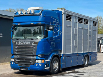 Camion transport animale SCANIA R 520