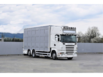 Camion transport animale SCANIA R 500