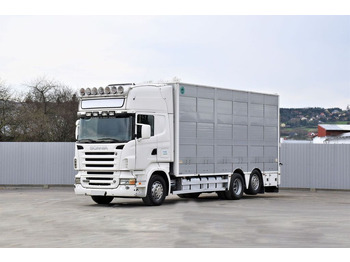 Camion transport animale SCANIA R 500
