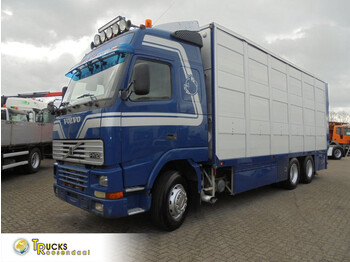 Camion transport animale VOLVO FH12