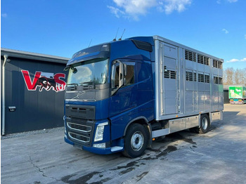Camion transport animale VOLVO FH 500