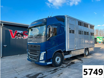 Camion transport animale VOLVO FH 500