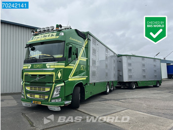 Camion transport animale VOLVO FH 540