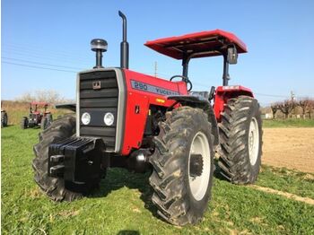 Tractor agricol nou MASSEY FERGUSON 290: Foto 1