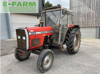 Tractor agricol Massey Ferguson 365 2wd: Foto 1