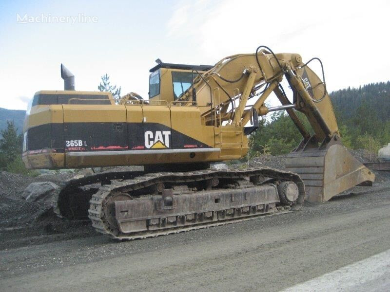 Excavator pe şenile Caterpillar CAT 365BL FS: Foto 3