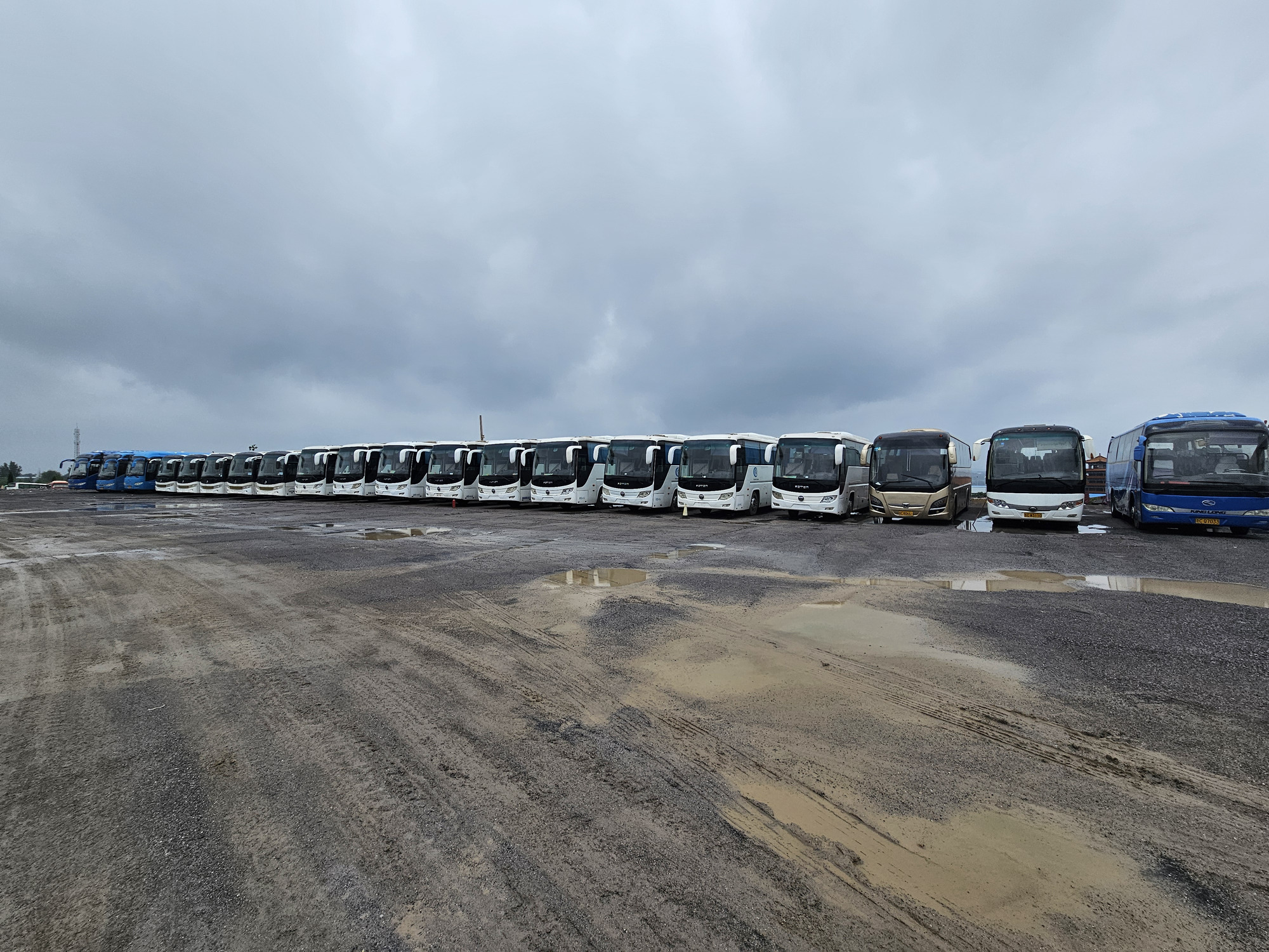 Qingdao Higher Weight Trade Co. LTD undefined: Foto 5