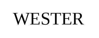 WESTER pe Truck1