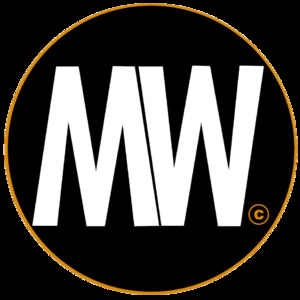  218100GT GENIE - Piesă de schimb