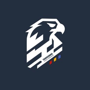 TRANSILVANIA SRL