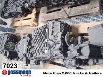 : fotografie din antet