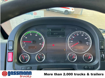 Camion şasiu, Camion cu macara MAN TGM 13.250/340 4X4BL, Einzelbereifung, 2x: Foto 2 Camion şasiu, Camion cu macara MAN TGM 13.250/340 4X4BL, Einzelbereifung, 2x: Foto 2