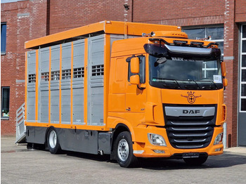Camion transport animale DAF XF 530