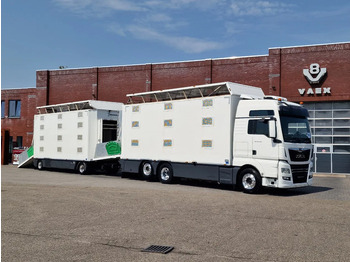 Camion transport animale MAN TGX