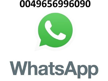 Autogunoiere Faun Variopress II 528 V 19 Faun Variopress II 528 V 19: Foto 3 Autogunoiere Faun Variopress II 528 V 19 Faun Variopress II 528 V 19: Foto 3