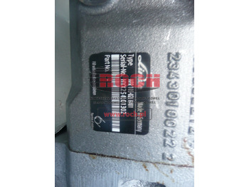 : fotografie din antet