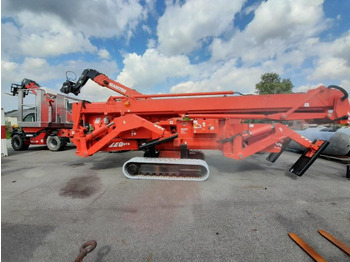 : fotografie din antet