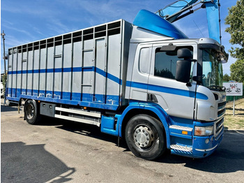 Camion transport animale SCANIA P 310
