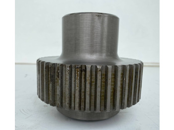 : fotografie din antet