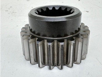 : fotografie din antet