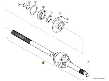 : fotografie din antet