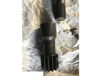 : fotografie din antet