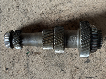 : fotografie din antet