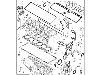: fotografie din antet