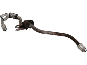 : fotografie din antet