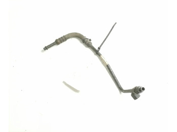 : fotografie din antet