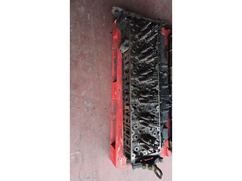 Chiulasă pentru Camion MERCEDES-BENZ OM 470 LA: Foto 5