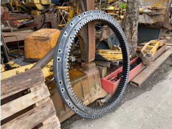 : fotografie din antet